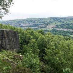 Bingley, St Ives, Walk