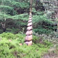 Bingley, St Ives, Walk