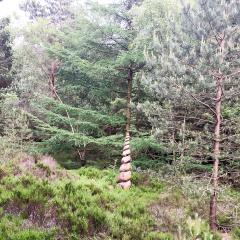 Bingley, St Ives, Walk