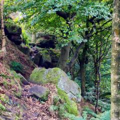 Colden Clough, Hedden Bridge, Walk
