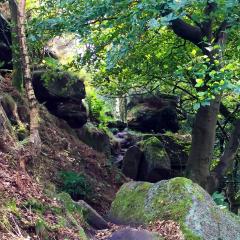 Colden Clough, Hedden Bridge, Walk