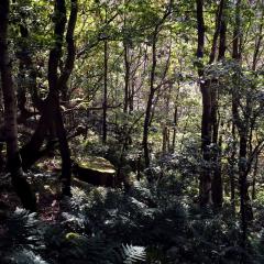 Colden Clough, Hedden Bridge, Walk