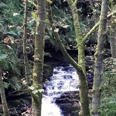Colden Clough, Hedden Bridge, Walk