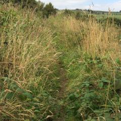 Flappit, Keighley, Walk