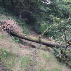 Flappit, Keighley, Walk