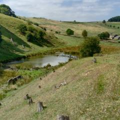 Flappit, Keighley, Walk