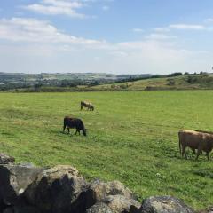 Flappit, Keighley, Walk
