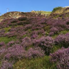 Flappit, Keighley, Walk