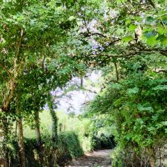 Ilkley, Ilkley Moor Walk, Walk