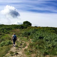Ilkley, Ilkley Moor, Walk