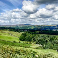 Ilkley, Ilkley Moor Walk, Walk