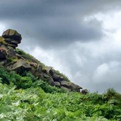 Ilkley, Ilkley Moor Walk, Walk