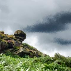 Ilkley, Ilkley Moor Walk, Walk
