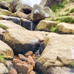 Ilkley, Ilkley Moor Walk, Walk