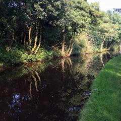 Huddersfield, Marsden, Marsden to Hudderfield Walk, Walk