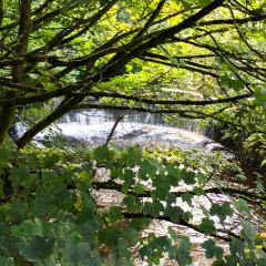 Huddersfield, Marsden, Marsden to Hudderfield Walk, Walk