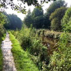 Huddersfield, Marsden, Marsden to Hudderfield Walk, Walk