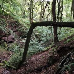 Hebden Bridge, Hedben Dale, Pecket Well, Walk