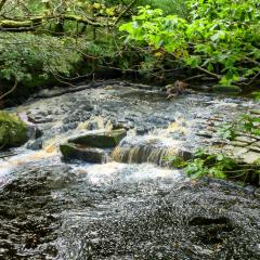 Hebden Bridge, Hedben Dale, Pecket Well, Walk