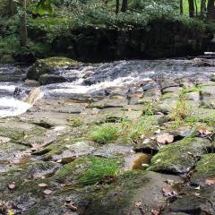 Hebden Bridge, Hedben Dale, Pecket Well, Walk