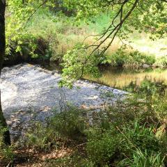 Hebden Bridge, Hedben Dale, Pecket Well, Walk