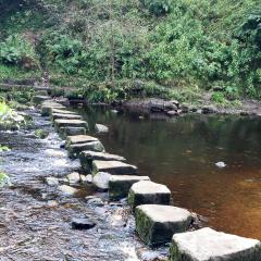 Hebden Bridge, Hedben Dale, Pecket Well, Walk