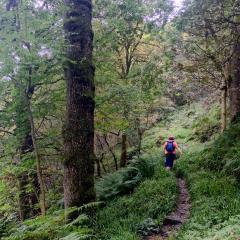 Hebden Bridge, Hedben Dale, Pecket Well, Walk