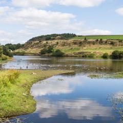 Bingley, Doe Park, Thornton, Thornton to Bingley Walk, Walk