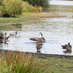 Bingley, Doe Park, Thornton, Thornton to Bingley Walk, Walk