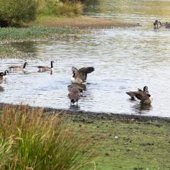 Bingley, Doe Park, Thornton, Thornton to Bingley Walk, Walk