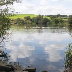 Bingley, Doe Park, Thornton, Thornton to Bingley Walk, Walk