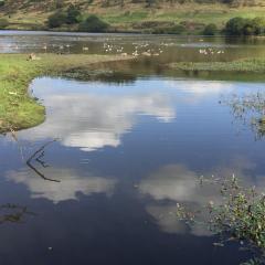 Bingley, Doe Park, Thornton, Thornton to Bingley Walk, Walk