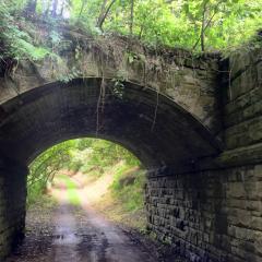 Bingley, Thornton, Thornton to Bingley Walk, Walk