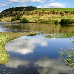 Bingley, Doe Park, Thornton, Thornton to Bingley Walk, Walk