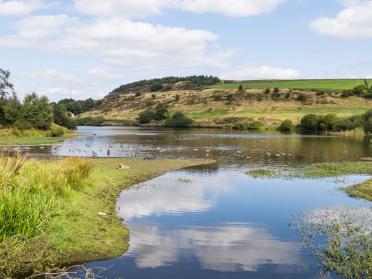 ThorntonToBingley