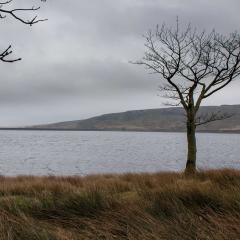 Gorple, Reservoirs, Walk, Widdop