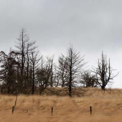 Gorple, Reservoirs, Walk, Widdop
