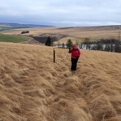 Gorple, Reservoirs, Walk, Widdop