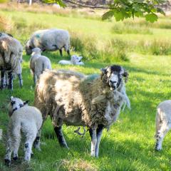 Addingham, Skipton, Walk