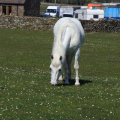 Addingham, Skipton, Walk