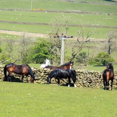 Addingham, Skipton, Walk
