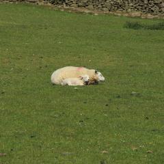 Addingham, Skipton, Walk