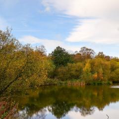 Adel Dam, Golden Acre Park, Nature Reserve, Walk