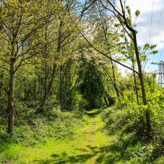 Beck, Bradford, Shipley, Walk