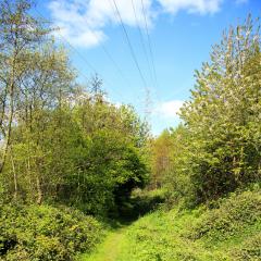 Beck, Bradford, Shipley, Walk