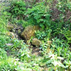 Beck, Bradford, Shipley, Walk