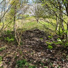 Beck, Bradford, Shipley, Walk