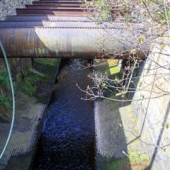 Beck, Bradford, Shipley, Walk