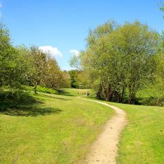 Beck, Chellow Dean, Walk