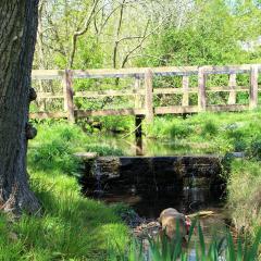Beck, Chellow Dean, Walk